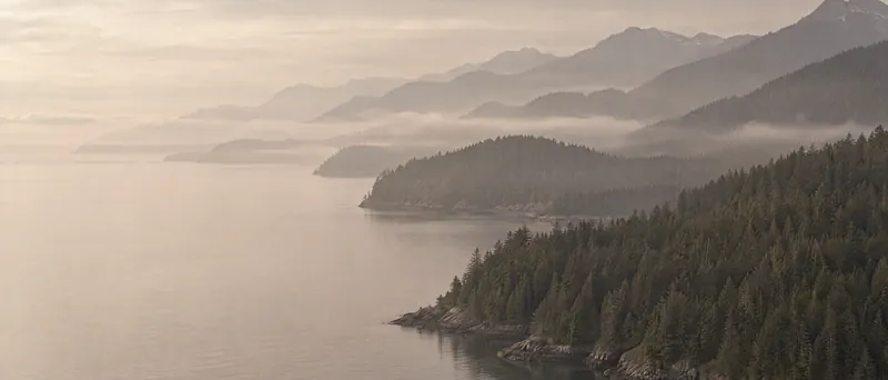 A misty Pacific coastline at dawn